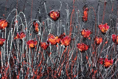 Pajama Party by Donatella Marraoni canvas print