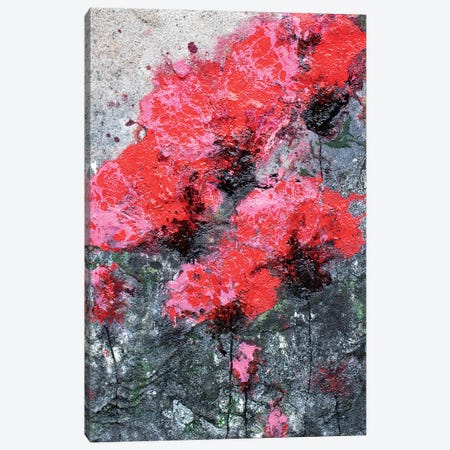 Pink Red Love And Poppies Canvas Print #DOM69} by Donatella Marraoni Canvas Art