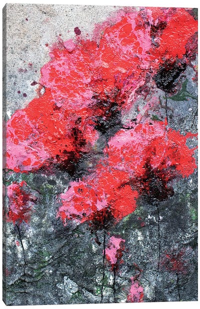 Pink Red Love And Poppies Canvas Art Print - Donatella Marraoni