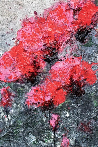 Donatella Marraoni: Pink Red Love And Poppies by Donatella Marraoni