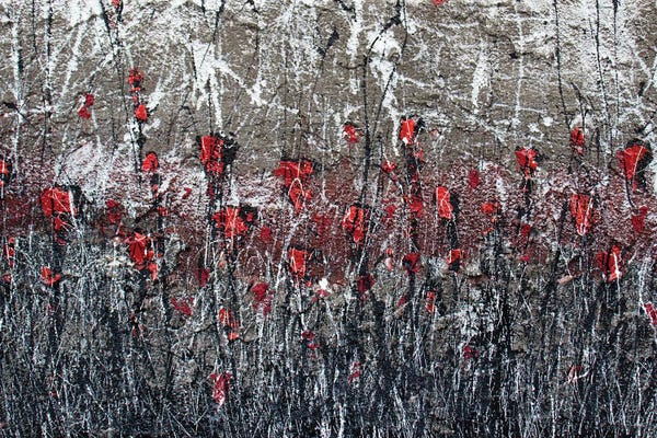 Donatella Marraoni: Poppies Memories by Donatella Marraoni