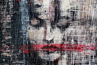 Cage II by Donatella Marraoni canvas print