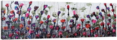 Fantatic Poppies Canvas Art Print - Donatella Marraoni