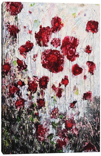 Poppies In Love! Canvas Art Print - Donatella Marraoni