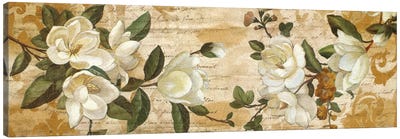 Magnolia Romance Canvas Art Print - Magnolias