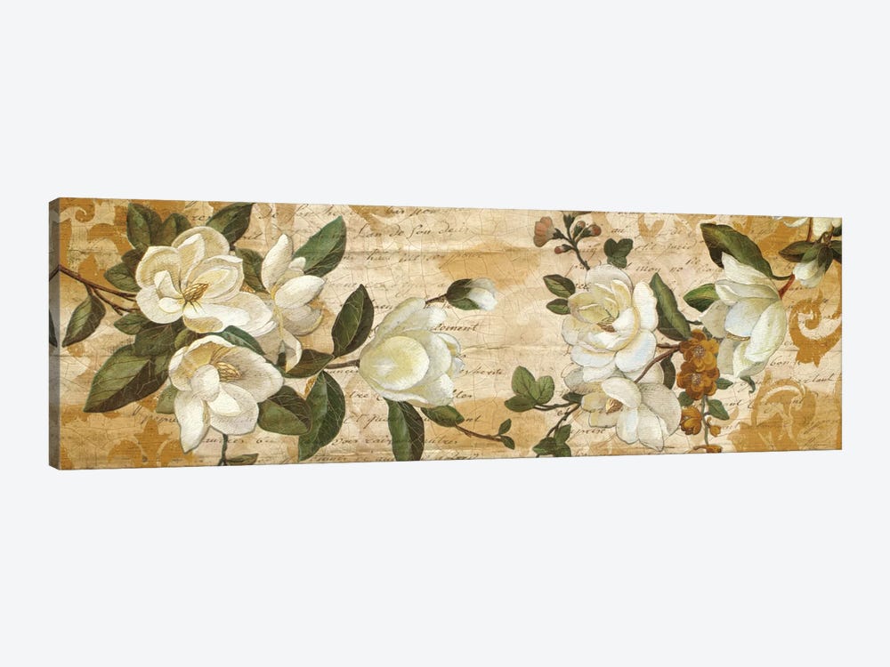 Magnolia Romance by Chris Donovan 1-piece Canvas Art