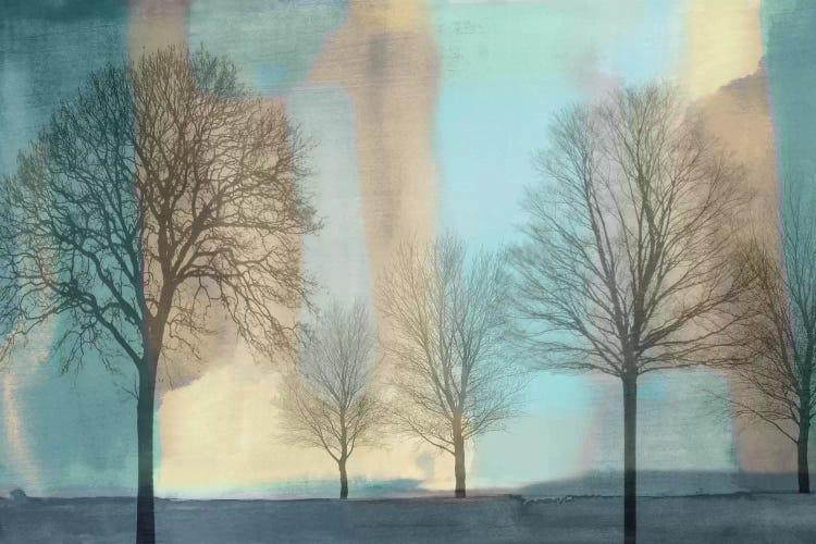 Misty Morning I by Chris Donovan wall art