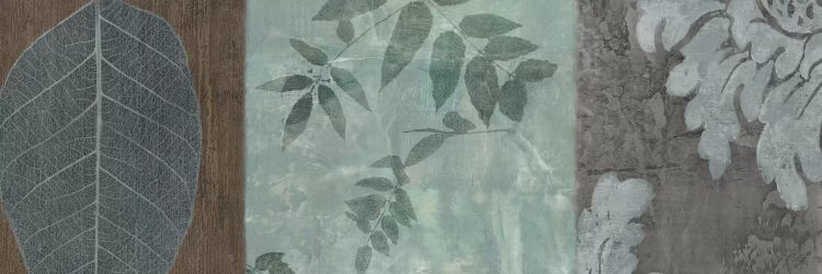 Anthology I by Chris Donovan wall art