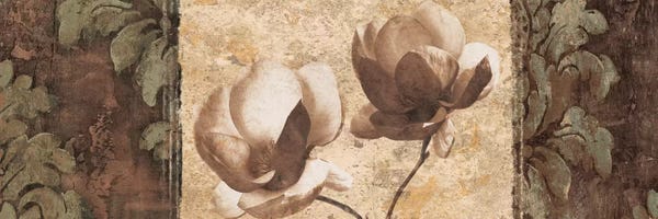 Magnolias: Quintessence II by Chris Donovan