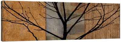Arboreal I Canvas Art Print - Chris Donovan