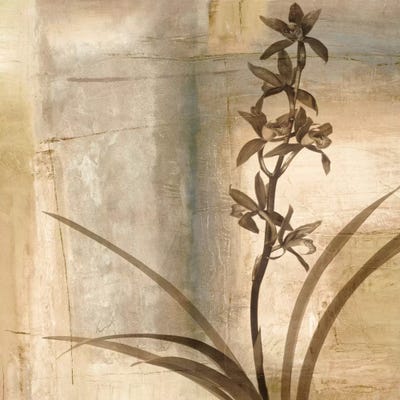 Shadow Dance II by Chris Donovan canvas print