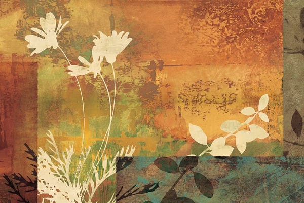 Daisies: Shambala I by Chris Donovan