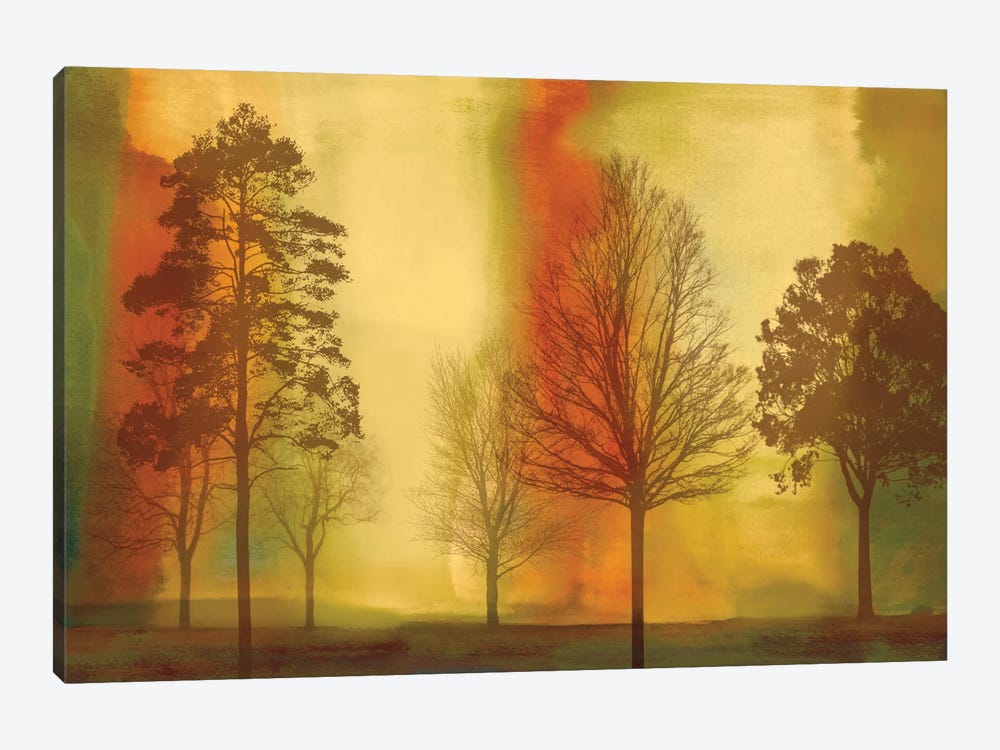 Sunset II Canvas Print by Chris Donovan | iCanvas