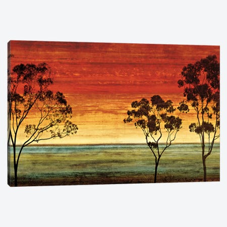 Sunset Vista I Canvas Print #DON146} by Chris Donovan Art Print