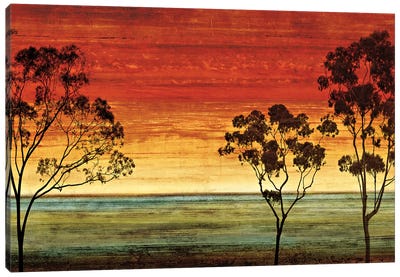 Sunset Vista I Canvas Art Print - Chris Donovan