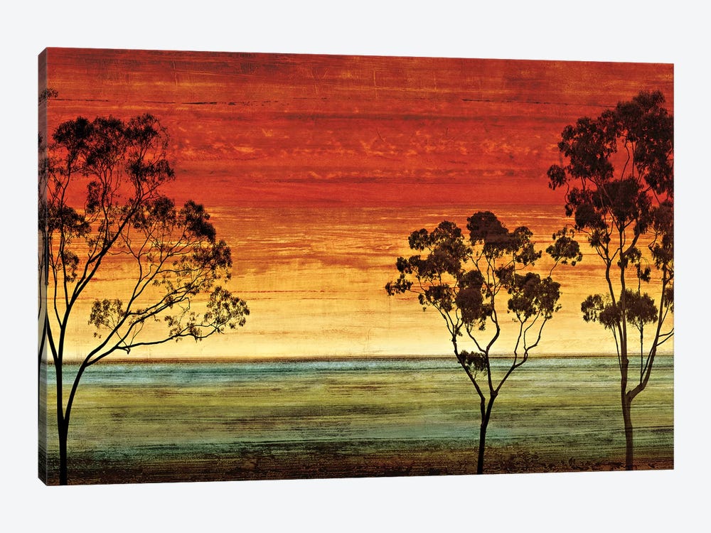 Sunset Vista I by Chris Donovan 1-piece Canvas Print