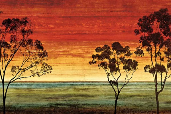 Chris Donovan: Sunset Vista I by Chris Donovan