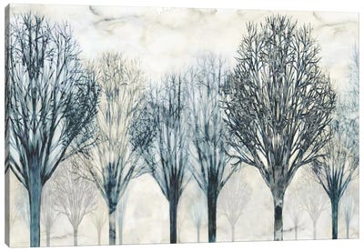 The Grove Canvas Art Print - Chris Donovan