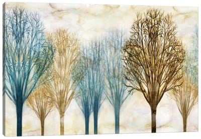 Treelined Canvas Art Print - Chris Donovan