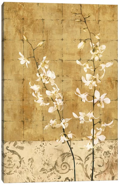 Blossoms In Gold I Canvas Art Print - Chris Donovan