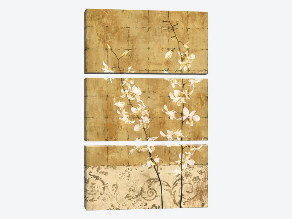 Blossoms In Gold I by Chris Donovan 3-piece Canvas Wall Art