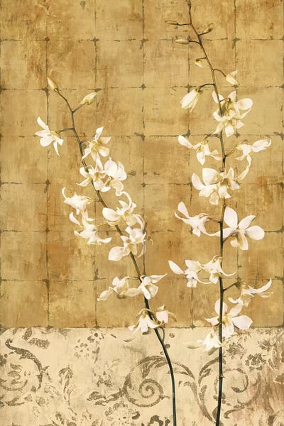 Orchids: Blossoms In Gold I by Chris Donovan