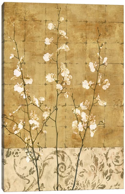 Blossoms In Gold II Canvas Art Print - Chris Donovan