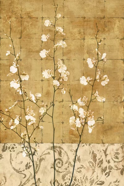 Orchids: Blossoms In Gold II by Chris Donovan