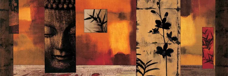 Dharma I by Chris Donovan wall art