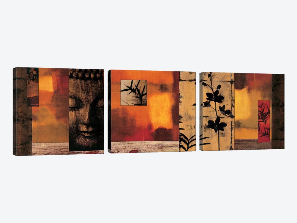 Dharma I by Chris Donovan 3-piece Canvas Wall Art