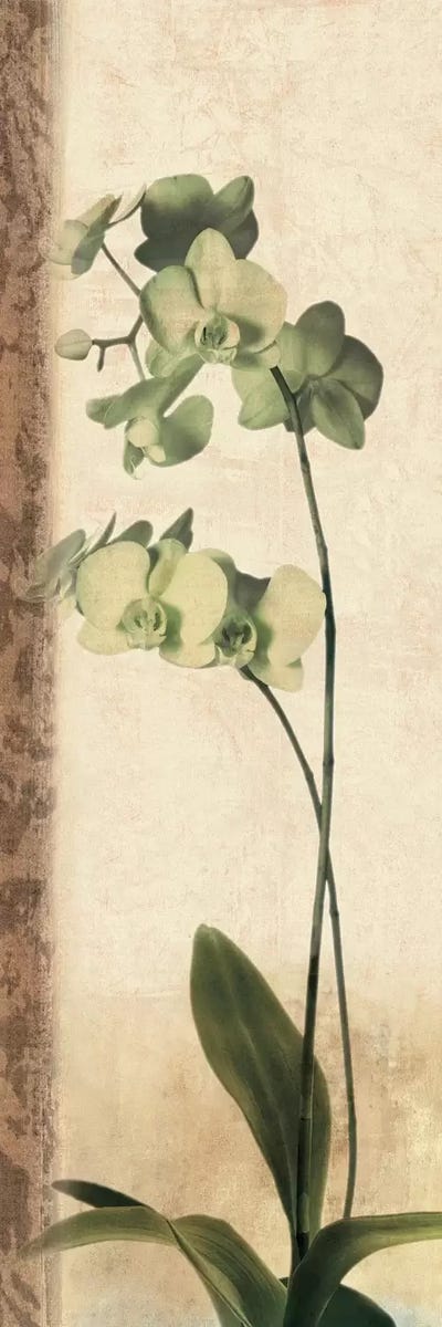 Dreamweaver I by Chris Donovan multi panel art