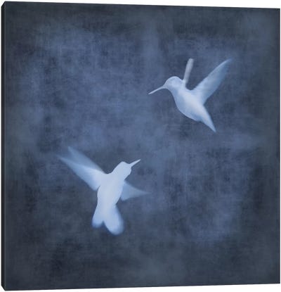 Flight In Blue I Canvas Art Print - Bird Art