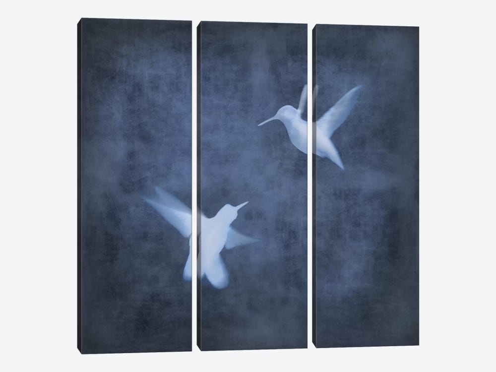 Flight In Blue I by Chris Donovan 3-piece Canvas Print