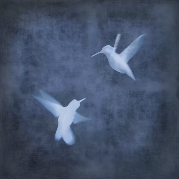 Chris Donovan: Flight In Blue I by Chris Donovan