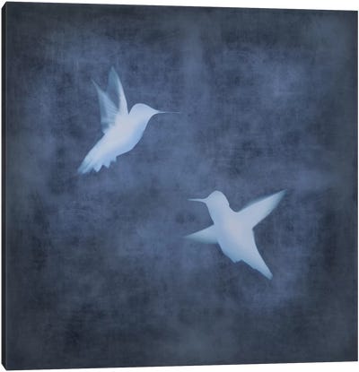 Flight In Blue II Canvas Art Print - Blue & White Art