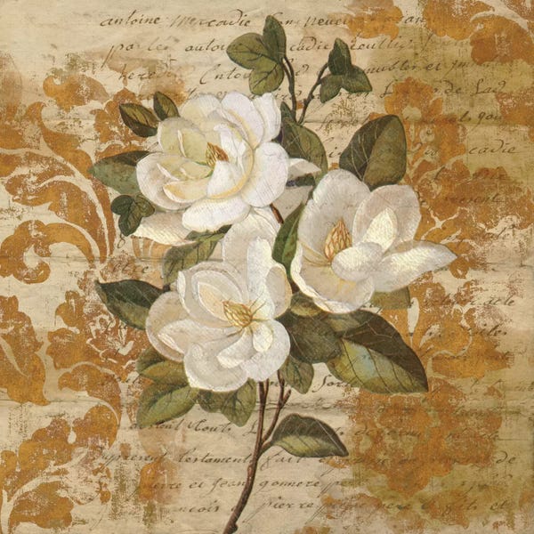 Magnolias: Love Notes I by Chris Donovan