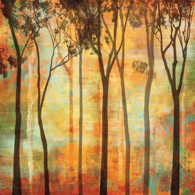 Magical Forest I by Chris Donovan art print