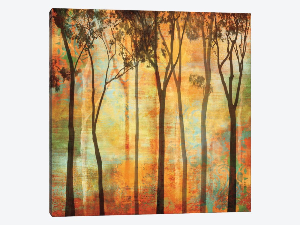 Magical Forest I by Chris Donovan 1-piece Canvas Print
