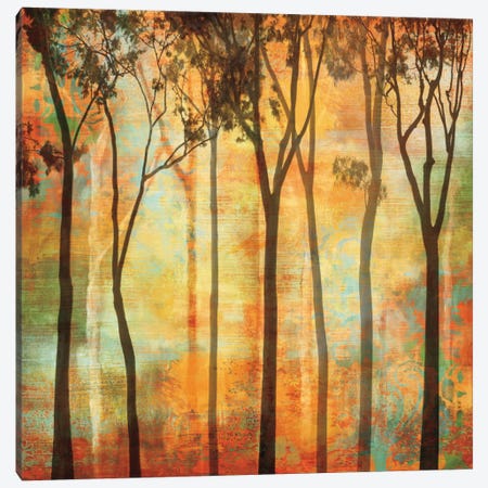 Magical Forest I Canvas Print #DON99} by Chris Donovan Canvas Wall Art