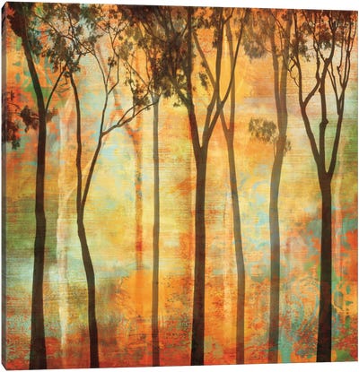 Magical Forest I Canvas Art Print - Chris Donovan