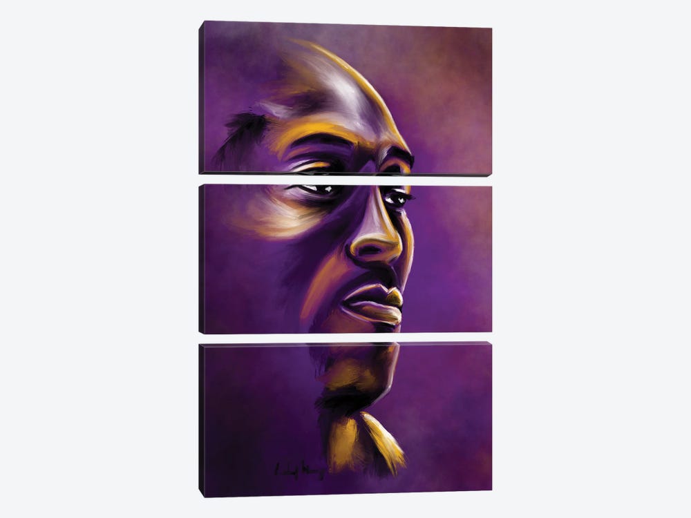 Kobe Calm by Androo's Art 3-piece Canvas Print