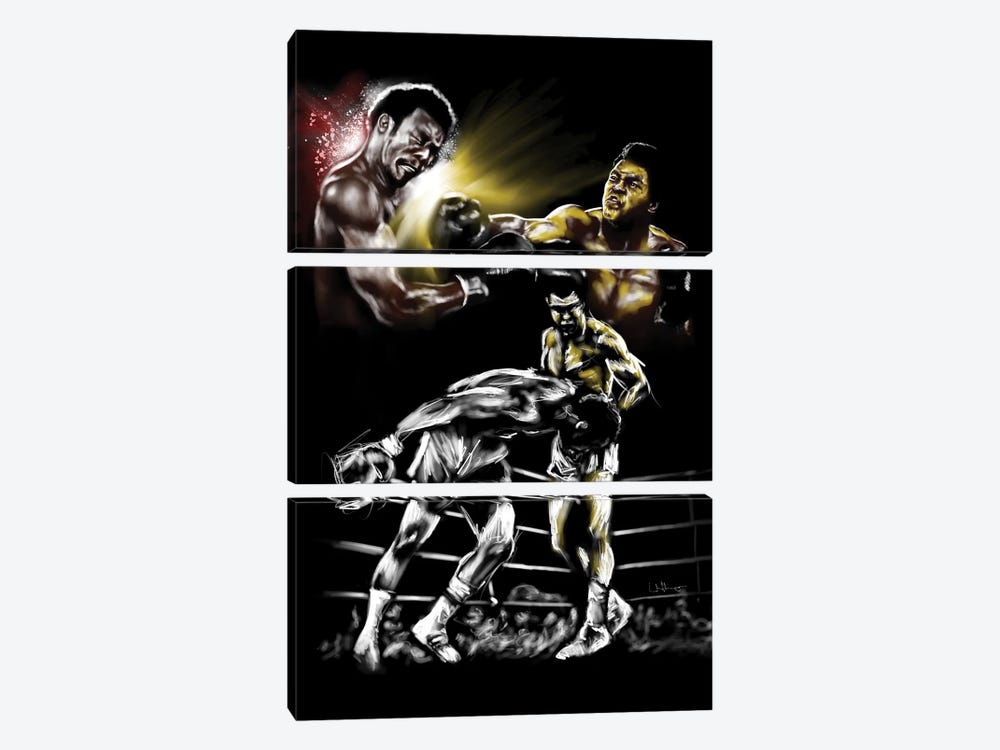 Rumble In The Jungle by Androo's Art 3-piece Art Print
