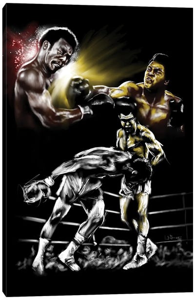 Rumble In The Jungle Canvas Art Print - Androo's Art