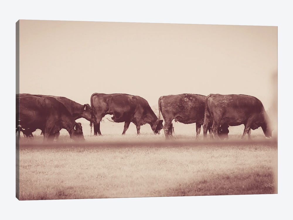 Cattle Row by Donnie Quillen 1-piece Canvas Print