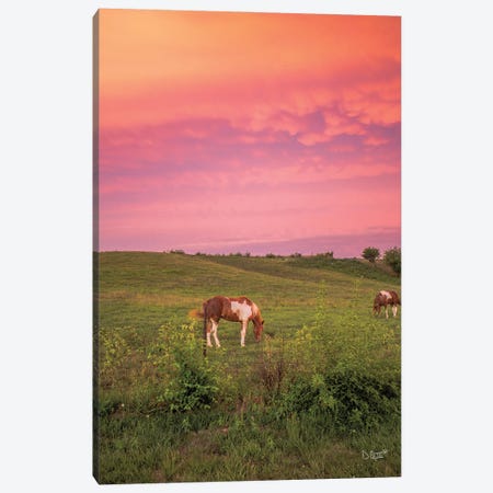 Horse At Sunset Canvas Print #DOQ18} by Donnie Quillen Canvas Art Print
