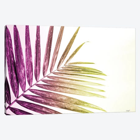 Rainbow Leaf Canvas Print #DOQ35} by Donnie Quillen Canvas Artwork