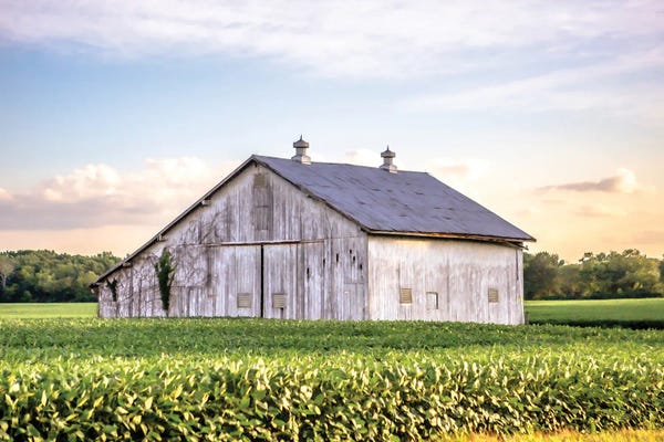 Barns: Rural Ohio Barn by Donnie Quillen