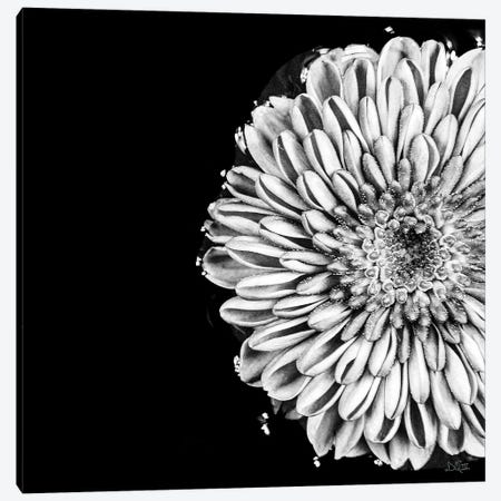 Black And White Love II Canvas Print #DOQ45} by Donnie Quillen Canvas Art Print