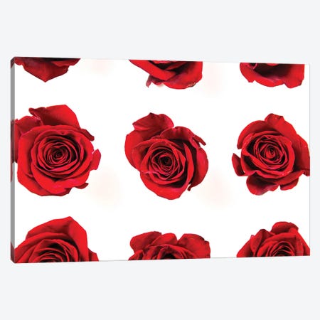 Red Roses II Canvas Print #DOQ53} by Donnie Quillen Canvas Print