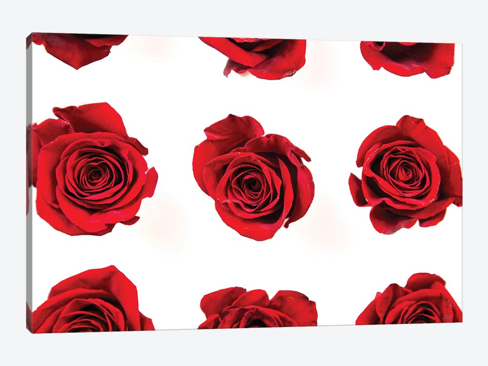 Red Roses II by Donnie Quillen 1-piece Canvas Wall Art